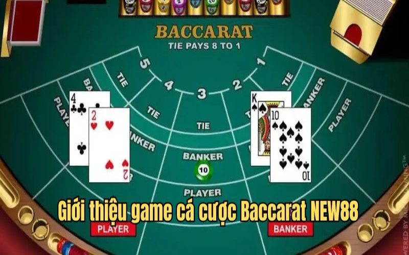 Sảnh baccarat tổng quan